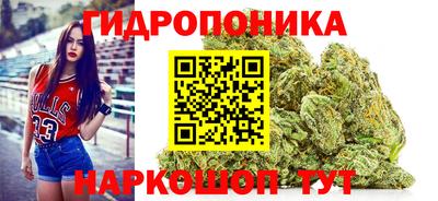 Альфа ПВП Пенза