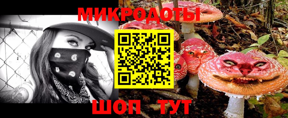 Реутов  Псилоцибиновые грибы Cubensis  Вход с VPN 
