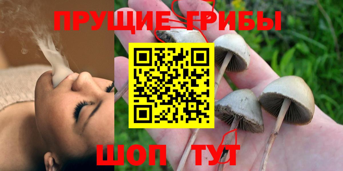 Галлюциногенные грибы Cubensis Реутов